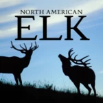 Logo of North American Elk android Application 