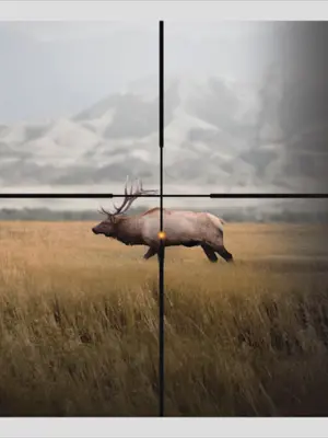 North American Elk android App screenshot 1