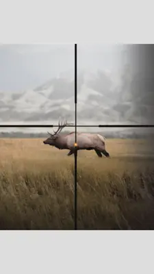 North American Elk android App screenshot 6